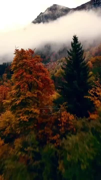 Пятница — день, когда можно позволить себе немного больше!