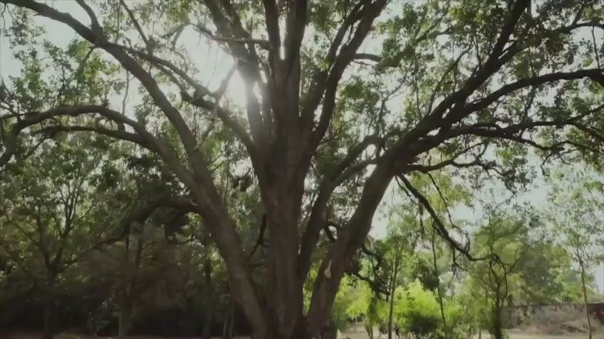 Андрей Сигута: Село Заречное - богатое прошлое и память о людях