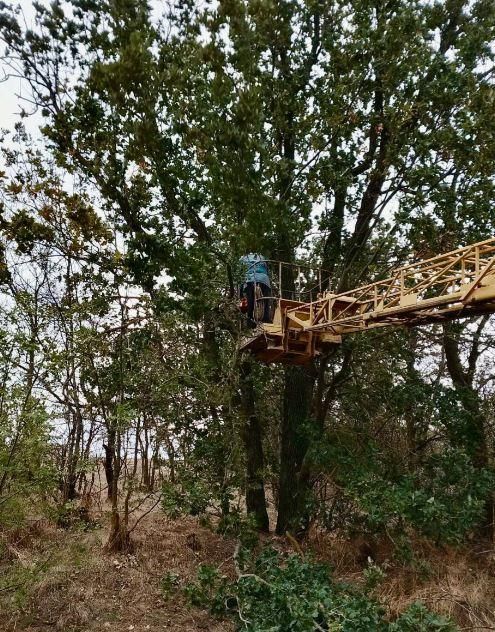 Энергетики продолжают плановые работы по обслуживанию сетей