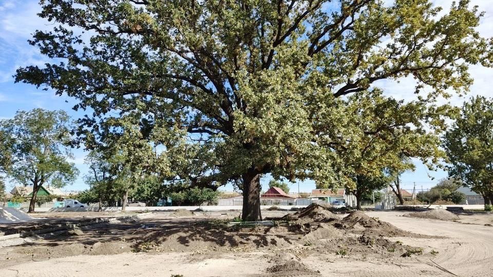 В Мелитополе парк участников СВО примет посетителей в ноябре