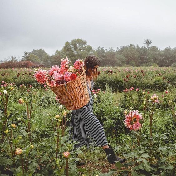 остаточно крохотного зёрнышка надежды, чтобы засеять целое поле счастья