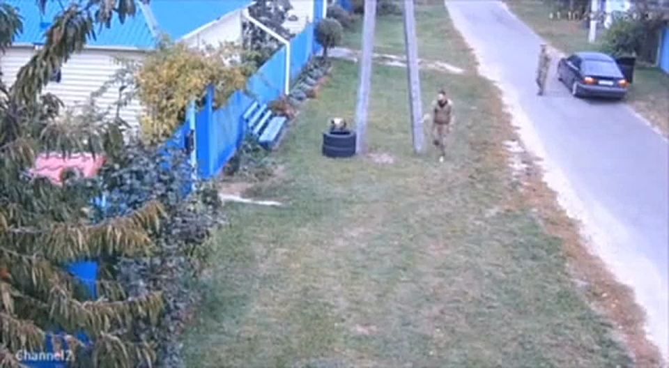 Владимир Рогов: Коты и скоты, или О судьбе кота и "кiта"