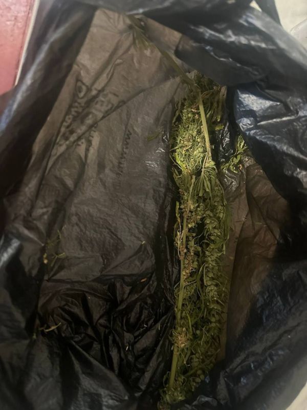 В Мелитопольском районе полицейские изъяли запрещенные вещества