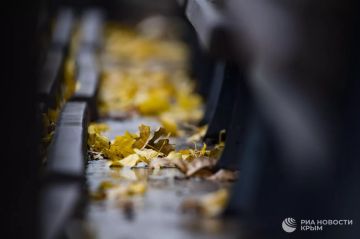 Погода на новых территориях России