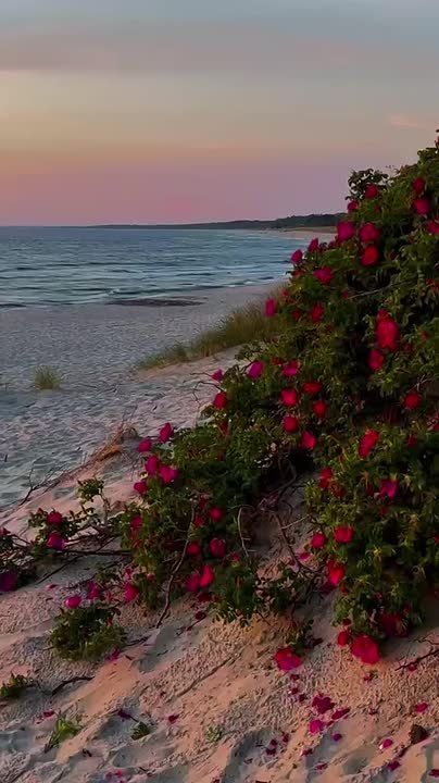 Я люблю себя без условий!. Мои действия приводят меня к успеху!