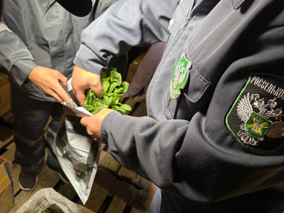 �������� �������� ������ ������� � ����������� �������