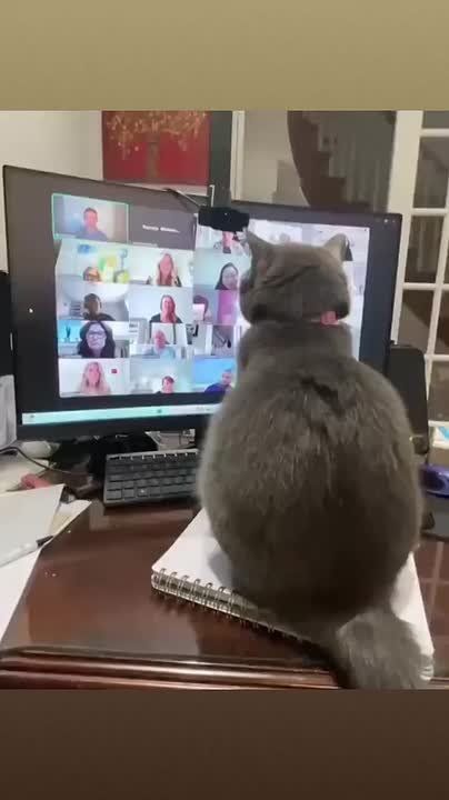 Уважаемые друзья! Среда! Экватор недели почти пройден!