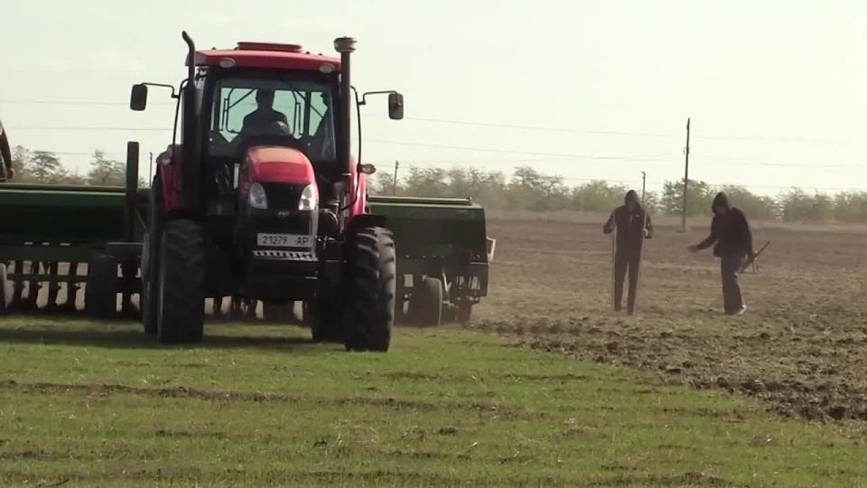 Внимание, абитуриенты. ГБПОУ «Мелитопольский многопрофильный колледж» продолжает набор по следующим специальностям: