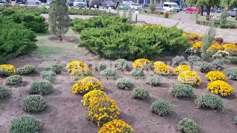 Осенняя сказка в Мелитополе: буйство красок и прохлада фонтана