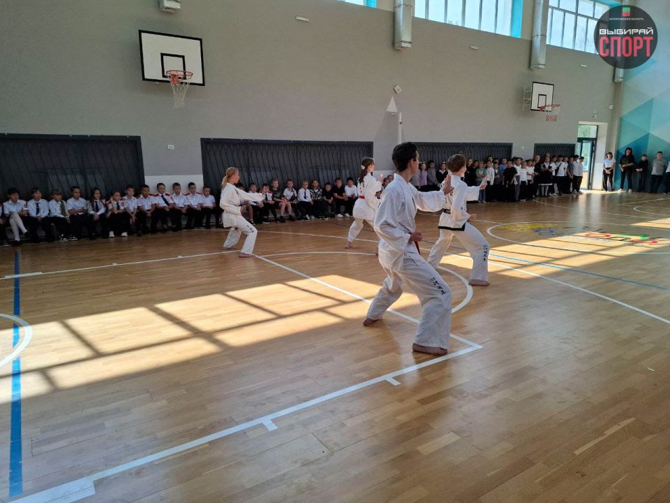 Мастер-класс по тхэквондо ИТФ прошел в СОШ №15 в Мелитополе