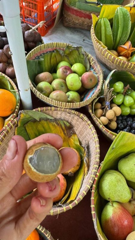 ����������� �����. �������� �������, 27-������ �������� �� ������, ������ �� ���� �� ��������� ��������� � � ��� ��� ���� 23 ��. � ������ �� ������� ������� ����� � ����������� ��� ���������� �� ����� ������� ���� � ���...