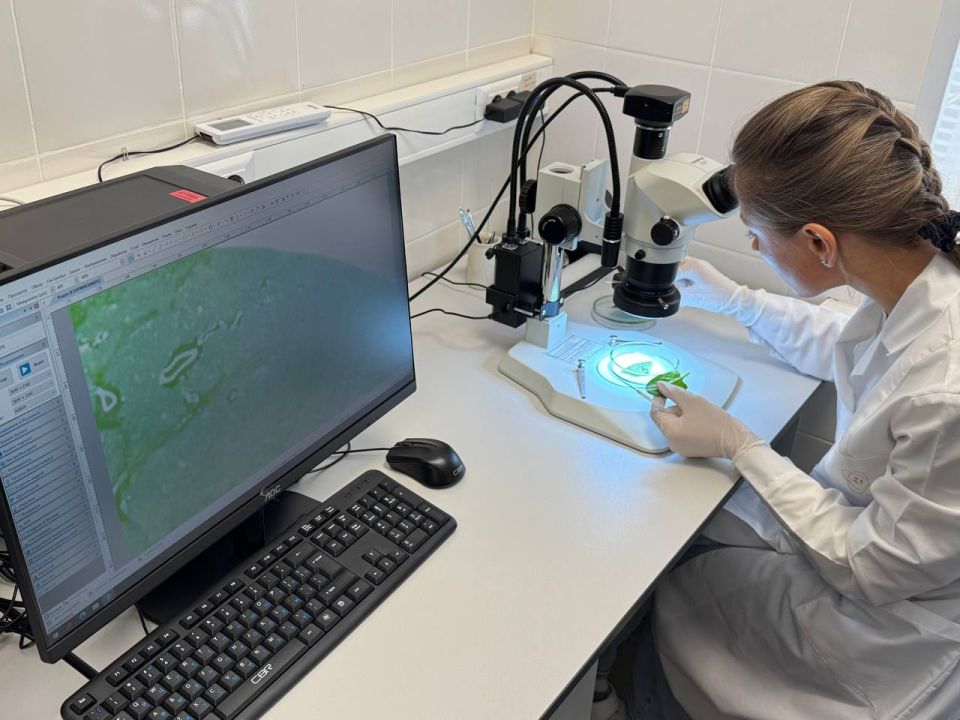 �������� �������� ������ ������� � ����������� �������