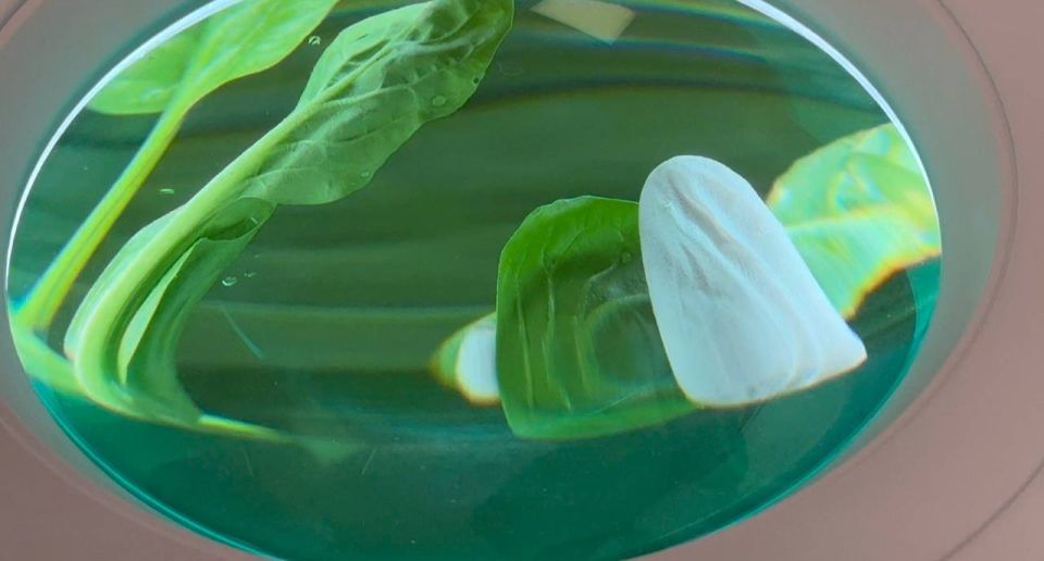 �������� �������� ������ ������� � ����������� �������