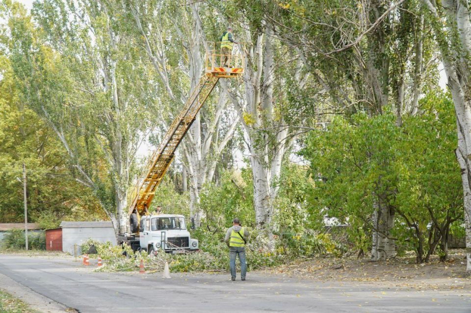 � ���������� �������� ������ �� ������� ��������