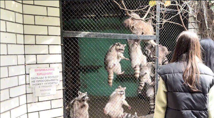 Мелитопольские полицейские организовали для школьников экскурсию в зоопарк