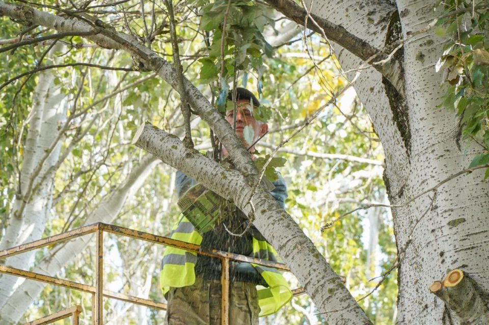 � ���������� �������� ������ �� ������� ��������