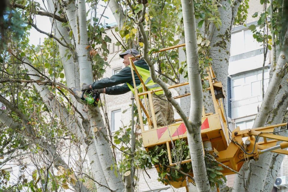 � ���������� �������� ������ �� ������� ��������