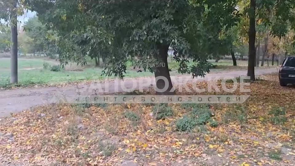 Октябрь в Мелитополе – золотой листопад под аккомпанемент дождя