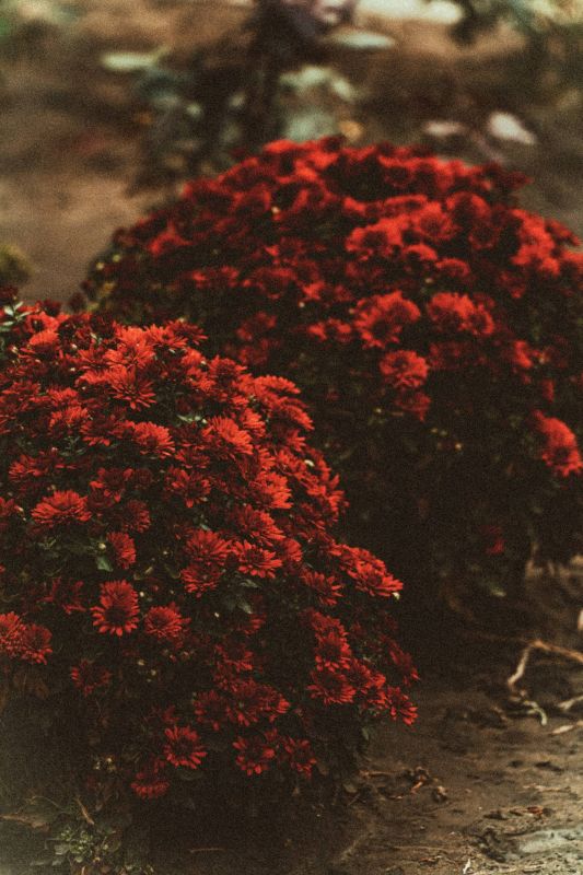 � ����� ������� �������� - ��� � ��������!