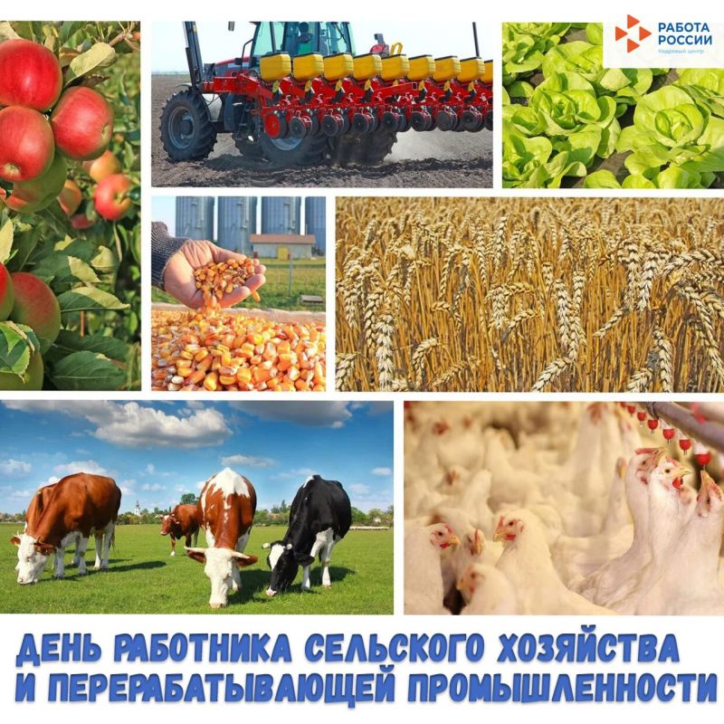 Профессиональный праздник аграриев и работников пищевой индустрии: от традиций к инновациям!