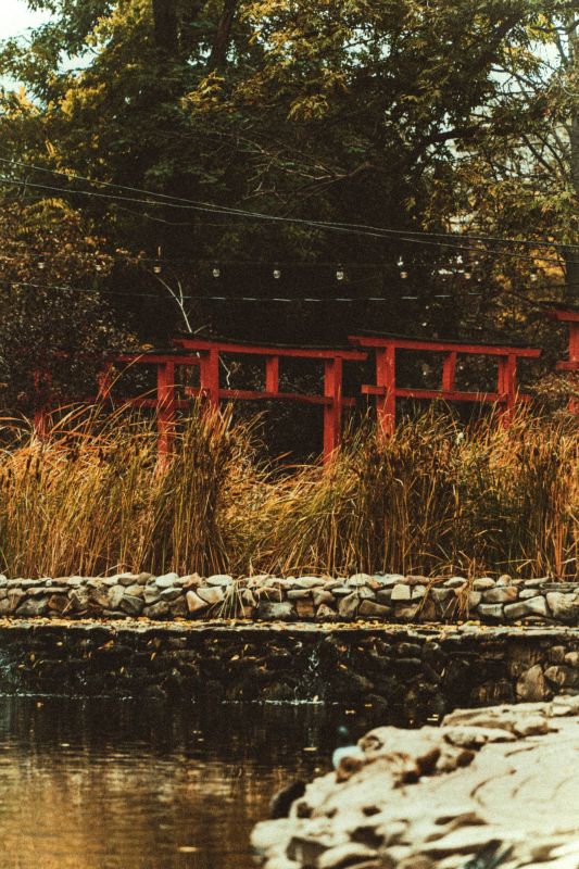 � ����� ������� �������� - ��� � ��������!