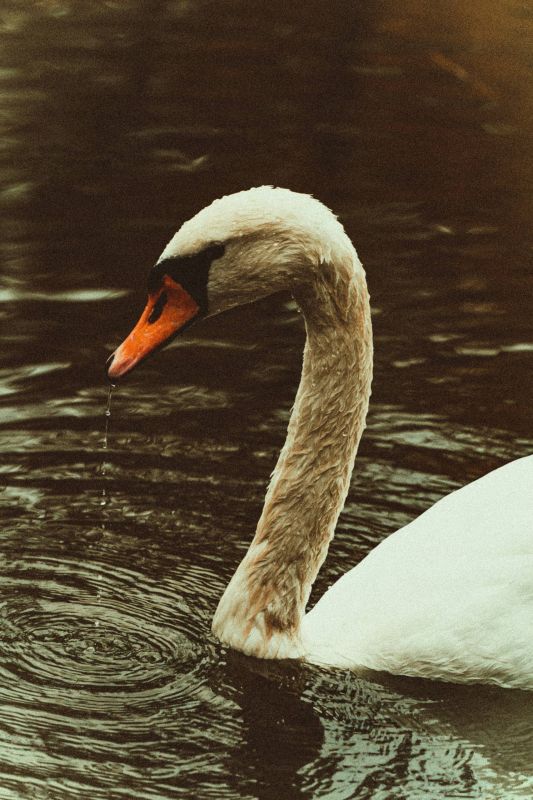 И снова рубрика «Красота - она в деталях»!