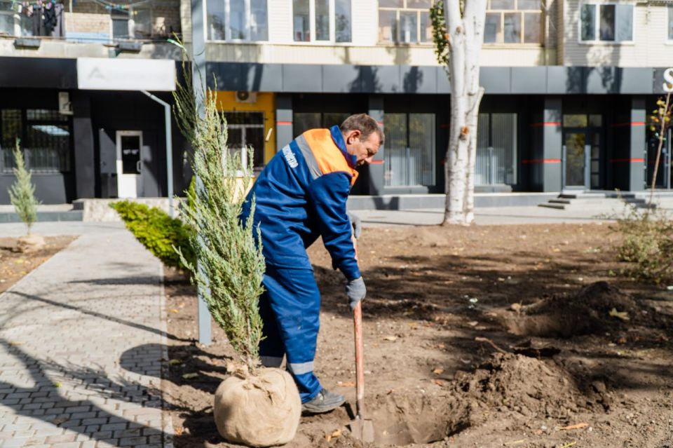 ������ ��������: ������ �� ��������������� ������ �� ����� ������ �������� � ����������