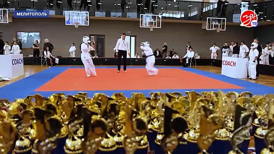 В Мелитополе завершился отборочный турнир по кёкусинкай