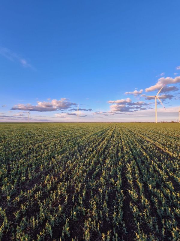 Доброе утро! Посмотрите, какая невероятная красота вокруг!