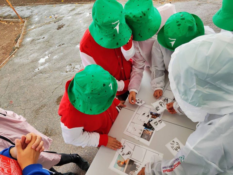 ������������ ������������� ��� �������� ������: ����������� ������� ������������� ���� ���� � ��������� ������!