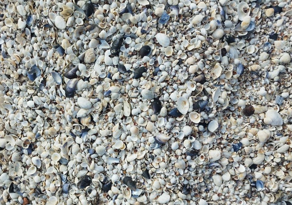 ������ ���� �� ���������� ����!