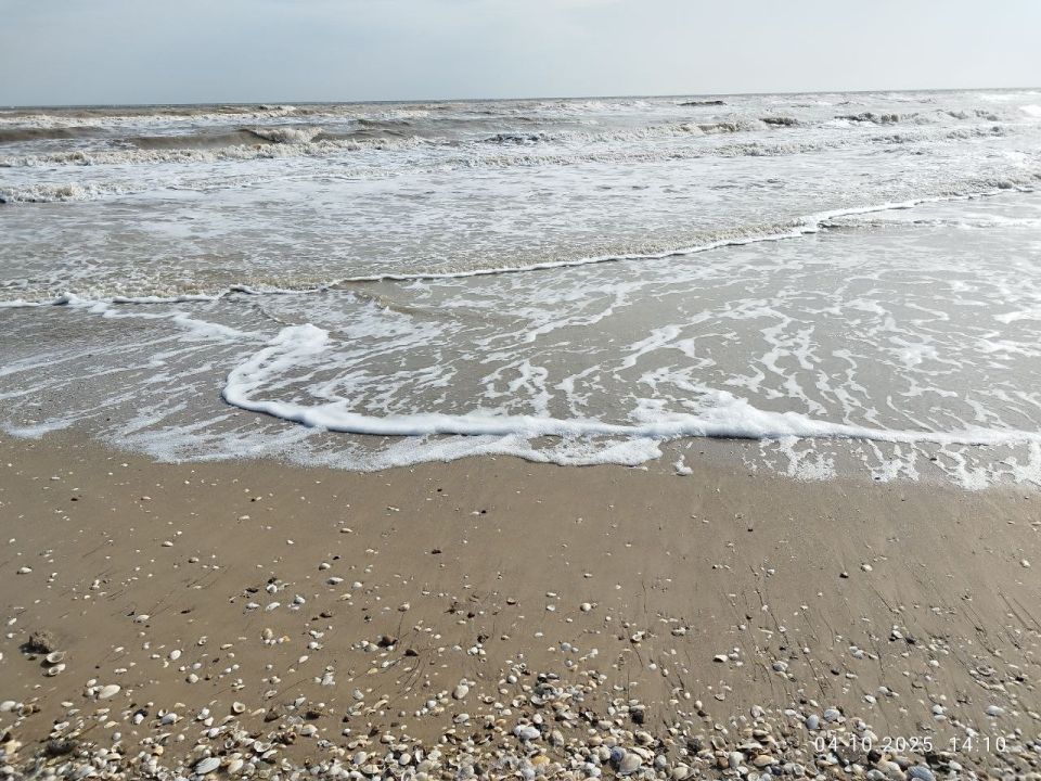 ������ ���� �� ���������� ����!