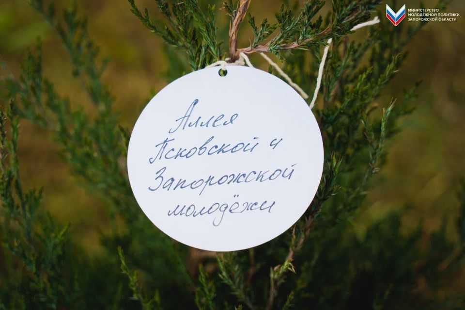 � ���������� �������� ����� ��������� � ����������� �������!