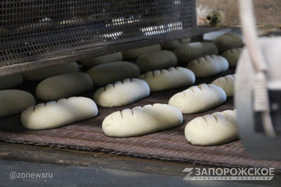 �������������� ������������� � ������ ���� ������� ����� 3 ����� ���� ������������� ���������