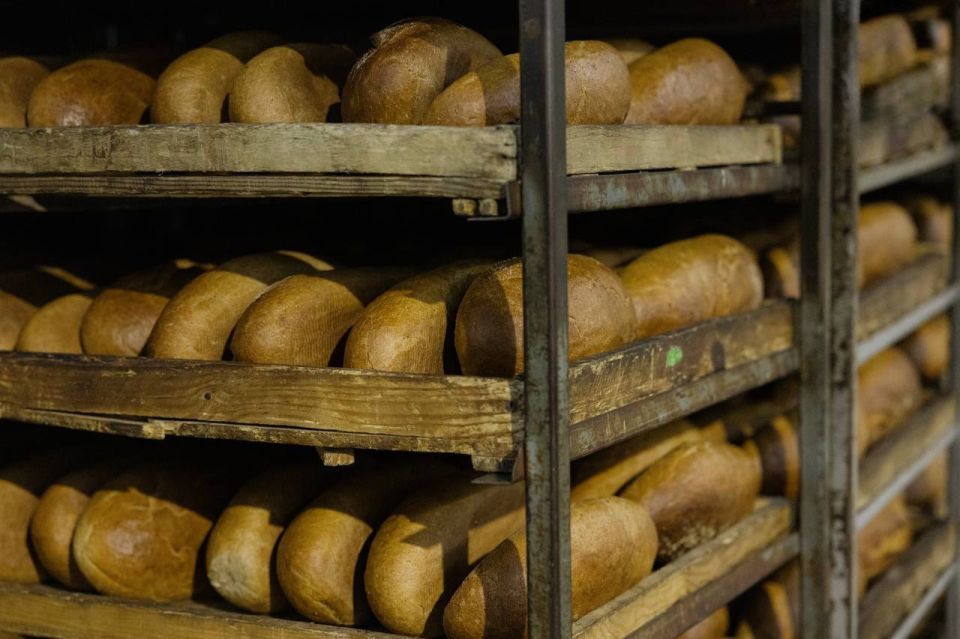 �������������� ���������� ������������� ���������� ������, �������� �� 14 ���� ������������� ��������� � �����