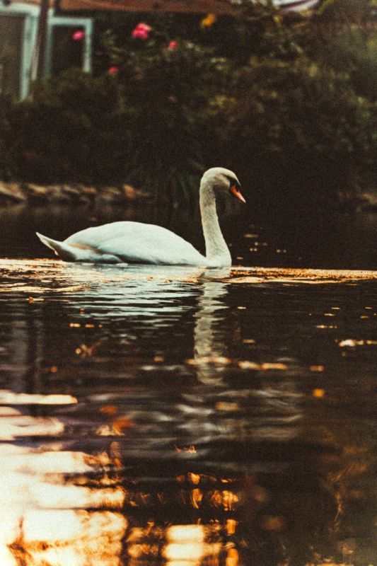 Красивое рядом. Осенняя красота Мелитополя