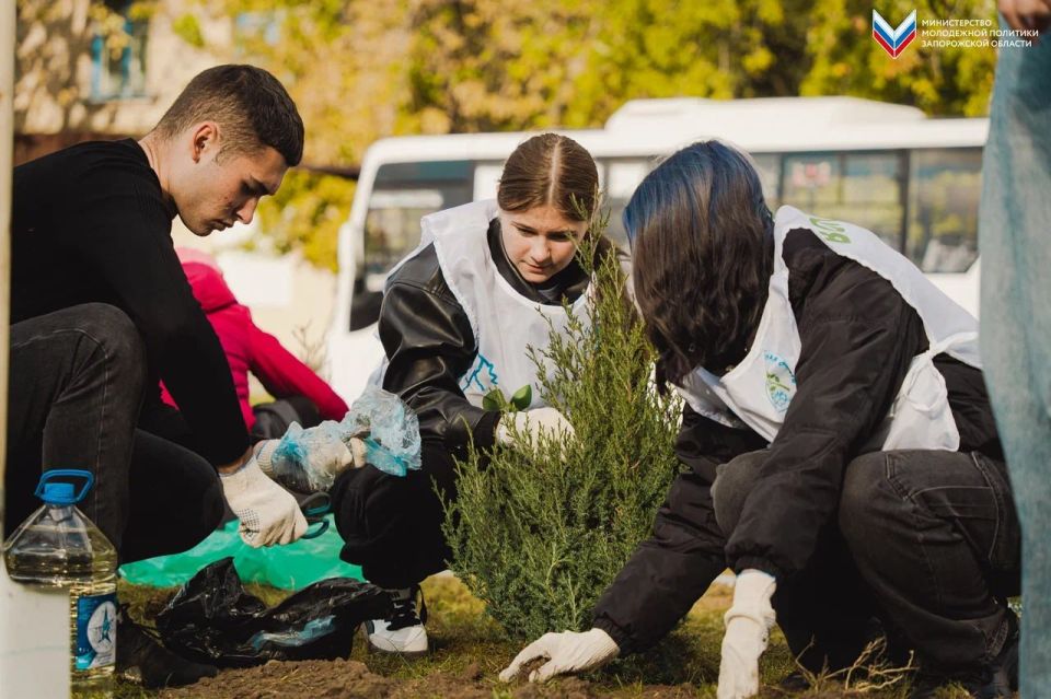 � ���������� �������� ����� ��������� � ����������� �������!