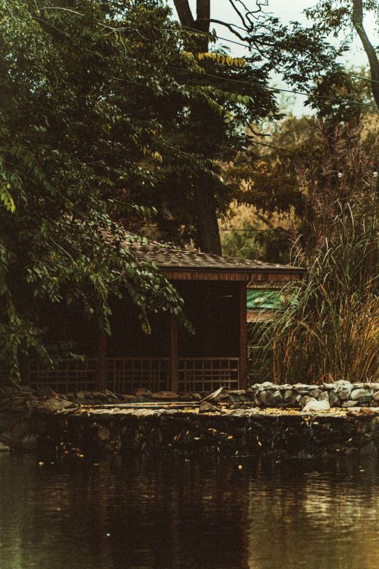 �������� �����. ������� ������� ����������