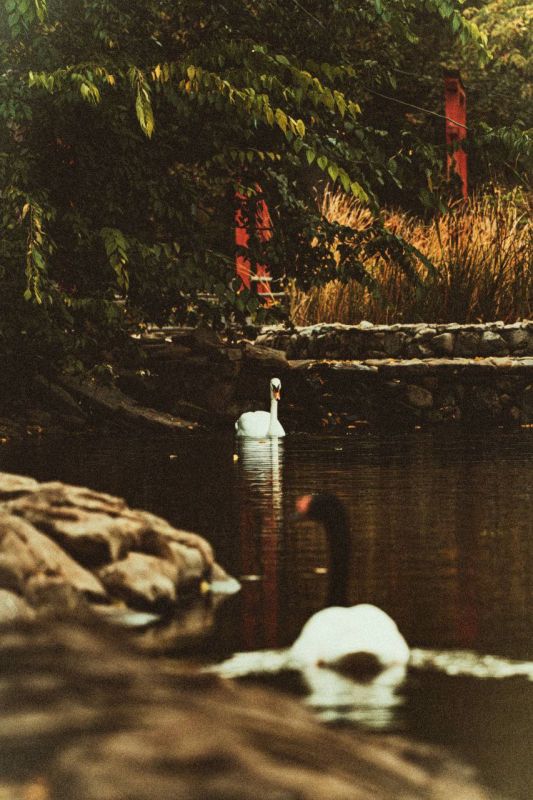 �������� �����. ������� ������� ����������