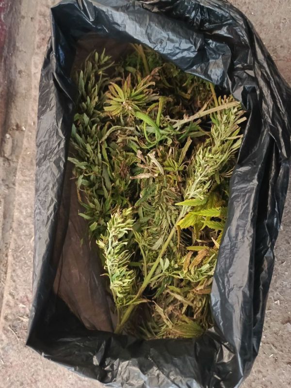 В Мелитопольском районе сотрудники полиции обнаружили и изъяли запрещённые вещества