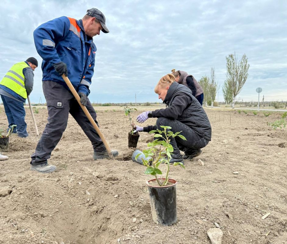 ������ ��� ����� ������� � ��������!