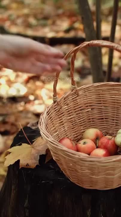 Прекрасного дня и отличного настроения! НОВЫЙ МЕЛИТОПОЛЬ