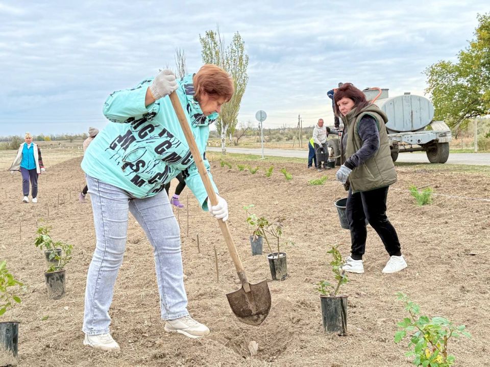 ������ ��� ����� ������� � ��������!