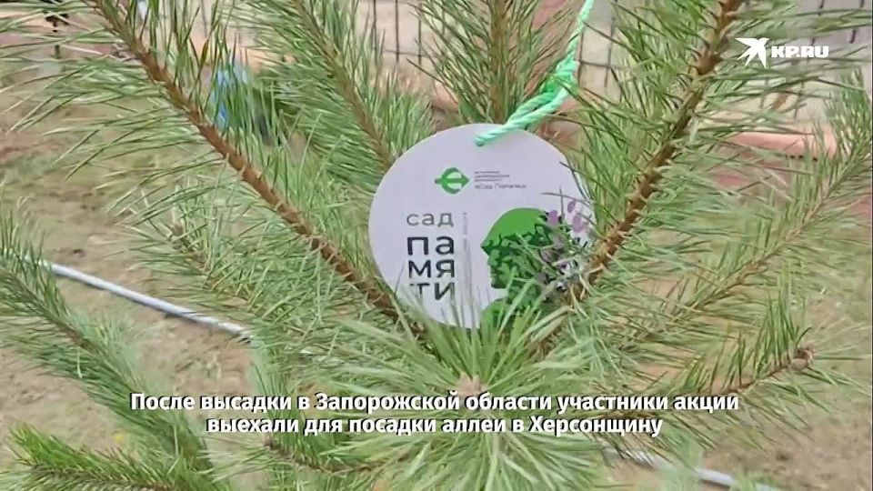 В Запорожской области присоединились к акции в честь победы в Великой Отечественной войне