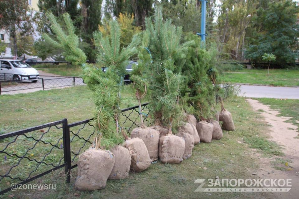 � ���������� �������� ����� �������� �����