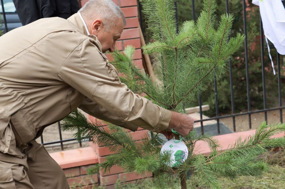 � � ���������� �������� 40 ����� � ������ ����� ���� ������