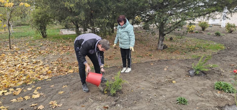 ���������� � ���������������� ��������������� ������