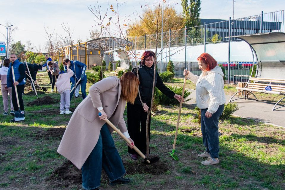 ������ ��������: � ���������� ��� ���� � ���������� ���������� ��������������� "����� �����"