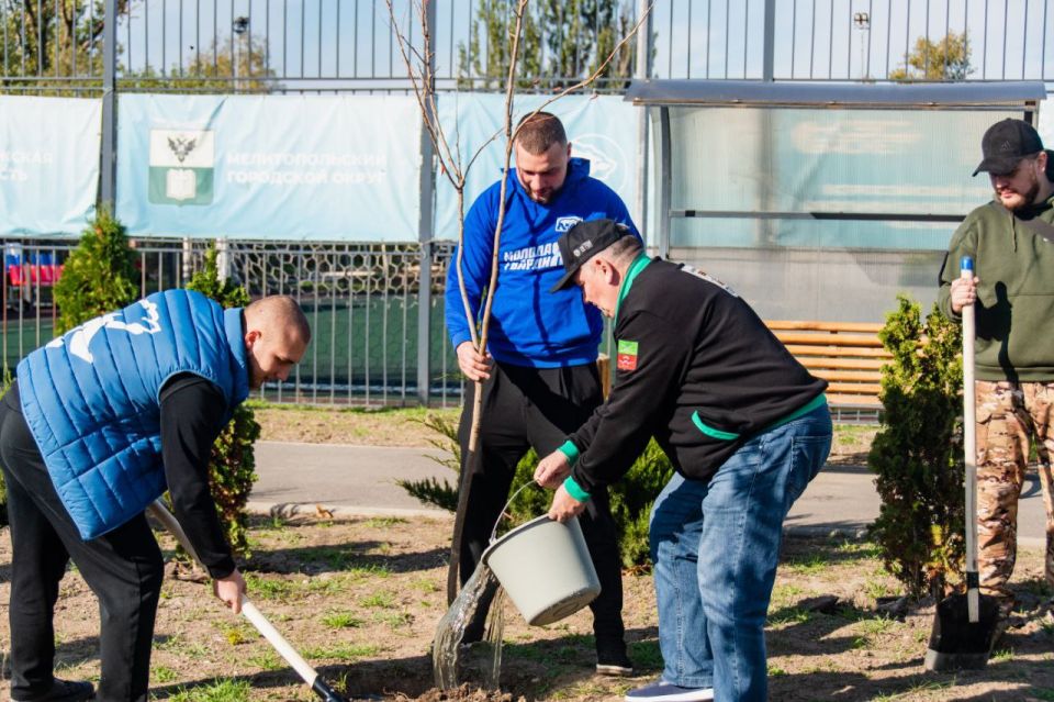 ������ ��������: � ���������� ��� ���� � ���������� ���������� ��������������� "����� �����"