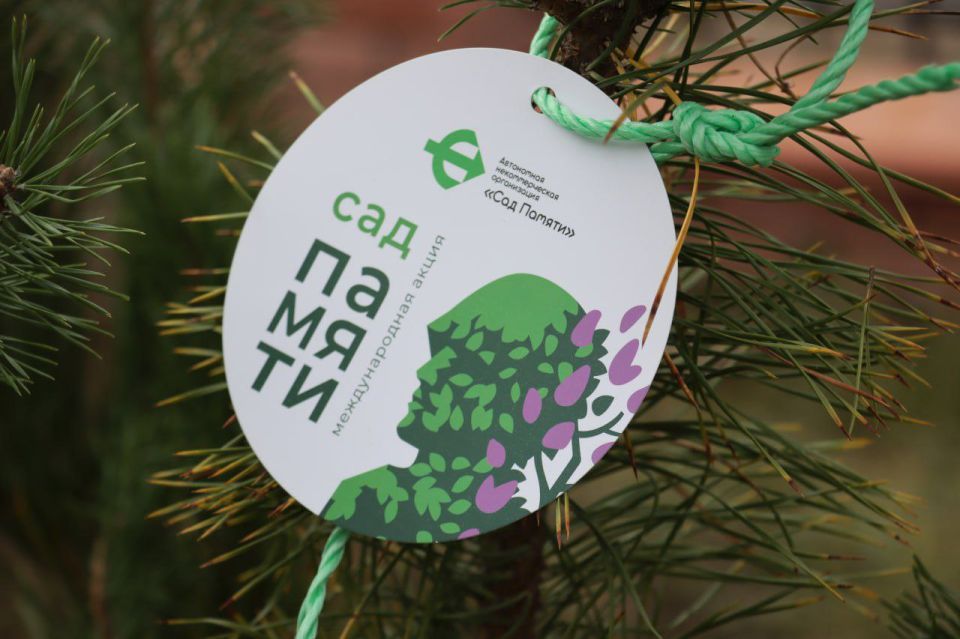 � � ���������� �������� 40 ����� � ������ ����� ���� ������